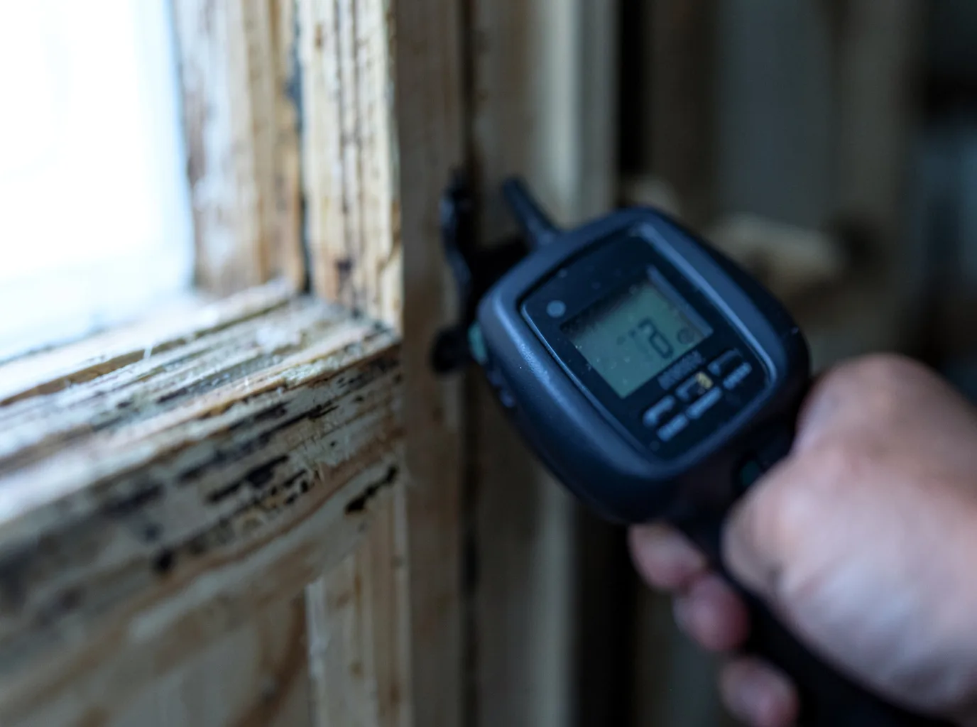 Moisture Inspection And Documentation in Cedarville, MI